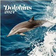 GRUPO ERIK, S. L. Dolphins - calendar - Wall Calendar