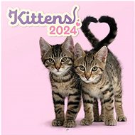 GRUPO ERIK, S. L. Kittens - calendar - Wall Calendar