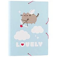 GRUPO ERIK Pusheen: Lovely, folder - Desky na sešity