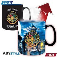 Harry Potter - Hogwarts Letter - Transfiguration Mug - Mug