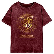 Harry Potter - Gryffindor Constellation - tričko S - T-Shirt
