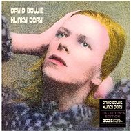 Bowie David - wall calendar - Wall Calendar