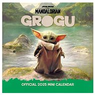 The Mandalorian - Calendar mini - Wall Calendar