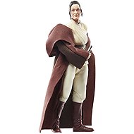 Star Wars The Acolyte Black Series - Jedi Master Indara - action figure - Figure