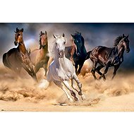 Five wild horses- Plakát - Poster