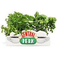 Friends: Central Perk - decorative vase - Decoration