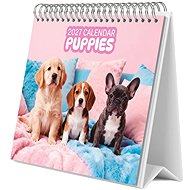 Puppies – 2027 Desk Calendar - Desk Calendar