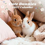 Bunnies - Nástěnný kalendář 2027 - Wall Calendar