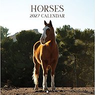 Horses – Wall Calendar 2026/2027 - Wall Calendar