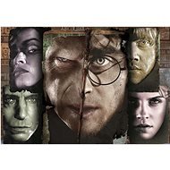 Harry Potter (kufřík) - puzzle - Jigsaw