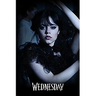 Netflix Wednesday: Goo Goo Muck - Poster - Poster