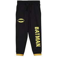 Batman - children's sweatpants, 10 years - Sweatpants