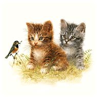 Cats - Paper Napkins