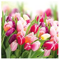Tulips - Paper Napkins