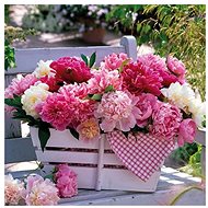 Peonies - Paper Napkins