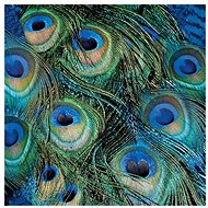 Peacock feathers - Paper Napkins