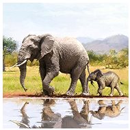 Elephant - Paper Napkins