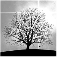 Tree silhouette - Paper Napkins