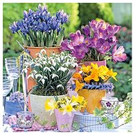 Spring greeting - Paper Napkins
