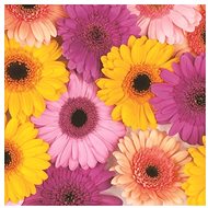 Gerbery - Paper Napkins