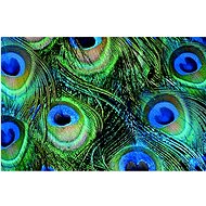GOBA plastic Peacock feather - Placemat