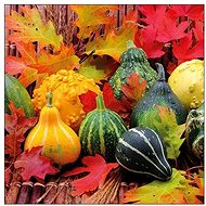 Pumpkin and leaves - Paper Napkins
