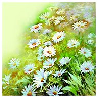Sponge Napkins Daisies 13316010 - Paper Napkins