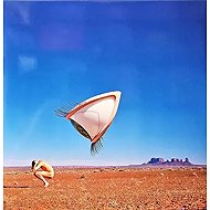 The Cranberries: Bury The Hatchet LTD - LP Record