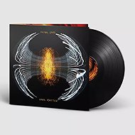 Pearl Jam: Dark Matter - LP Record