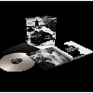 David Gilmour: Luck and Strange silver - LP Record