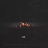 Beer Madison: Life Support - LP Record
