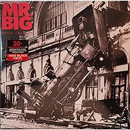 Mr. Big: Lean Into It LTD - LP Record