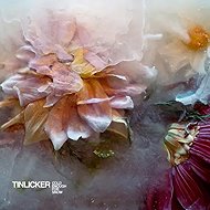 Tinlicker: Cold Enough For Snow Clr Ltd - LP Record