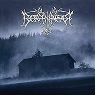 Borknagar: Borknagar Dlx Ltd - LP Record
