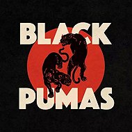 Black Pumas: Black Pumas - LP Record