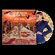 Calvin Harris: One Kiss PIC - LP Record