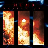 Numb: Wasted Sky LTD - LP Record