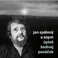 Jan & Aspm Spaleny: The completely grey little man - LP Record