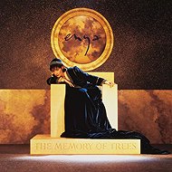 Enya: The Memory of Trees - LP Record