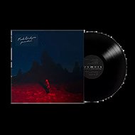 Phoebe Bridgers: Punisher - LP Record