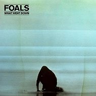 Foals: What Went Down - LP Record