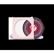 Take That: Everything Changes - LP Record