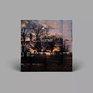 Blockhead: Music By Cavelight CLR - LP Record