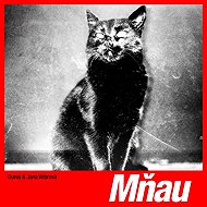 Danube: Meow - LP Record