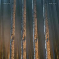 Skepticism: Companion Clr Ltd - LP Record