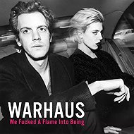 Warhaus: We Fucked a Flame into Being - LP Record