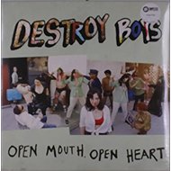 Destroy Boys: Open Mouth, Open Heart Clr Ltd - LP Record