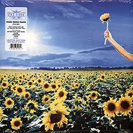 Stone Temple Pilots: Thank You - LP Record