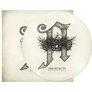 Architects: Daybreaker Ltd Pic - LP Record