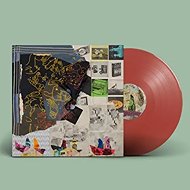 Animal Collective: Time Skiffs Ltd Clr - LP Record